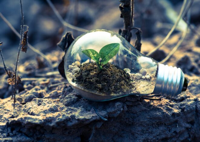 Sustainable Practices: How Going Green Can Benefit Your Bottom Line